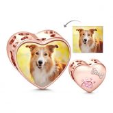 Paw Print und Knochen meines Hundes