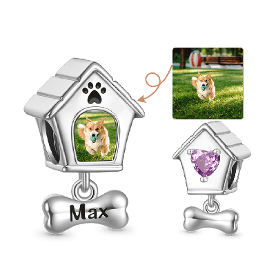 Hundehütte Foto Charm